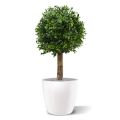 Buxus bol deluxe kunstplant 25cm - UV bestendig