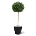 Kunst Buxus bol op stam 110cm - UV bestendig