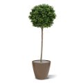 Buxus bol op stam kunstplant 140cm - UV bestendig