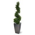Buxus spiraal deluxe kunstboom 100cm - UV bestendig