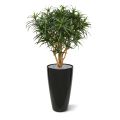Draceana Reflexa Anita XL1kunstplant 120cm