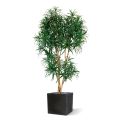 Draceana Reflexa XL kunstboom 190cm - groen