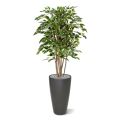Ficus Exotica deluxe kunstplant 125cm - bont