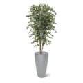 Ficus Exotica deluxe kunstboom 180cm - bont