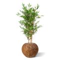 Japanse Bamboe kunstplant 120cm - UV bestendig