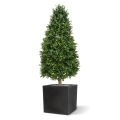Kunst Buxus Tower plant 140cm - UV bestendig