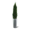Kunst Conifeer deluxe 150cm - UV bestendig