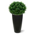 Kunstbuxus Bol deluxe 70cm - UV bestendig