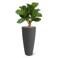 Lyrata deluxe kunstplant op stam 80cm
