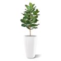 Lyrata Royal kunstplant 90cm