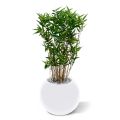 Oriëntal Bamboe kunstplant 70cm