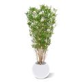 Oriental Bamboe kunstboom 160cm