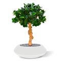 Panda Bonsai kunstboom op voet 60cm