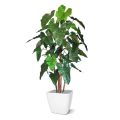 Philodendron deluxe kunstboom 170cm