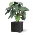 Philodendron XL kunstplant 120cm