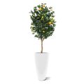 Sinaasappel kunstboom deluxe 150cm